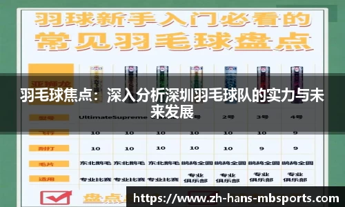 羽毛球焦点：深入分析深圳羽毛球队的实力与未来发展